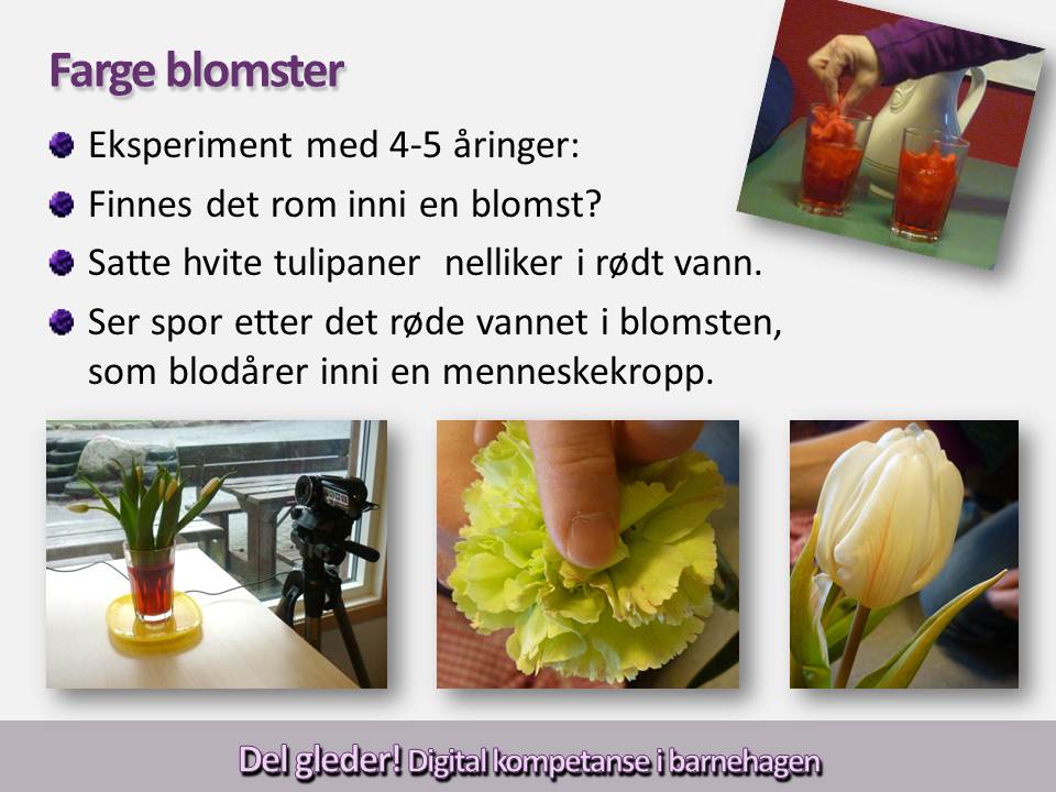 Farge blomster